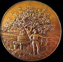 Medalla de oro otorgado a Marie Maurice