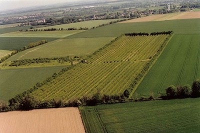 Aerial view of Terre des Presseaux orchards