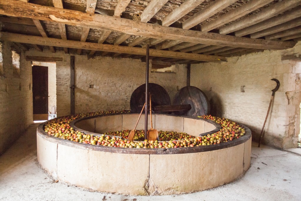 Manzanas molino impulsado por un caballo